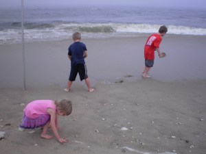 Grandchildren gathering shells on the Atlantic coastline near Sandy Hook Lighthouse in New Jersey